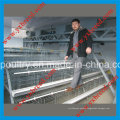 Chicken Layer Battery Cage for Farm